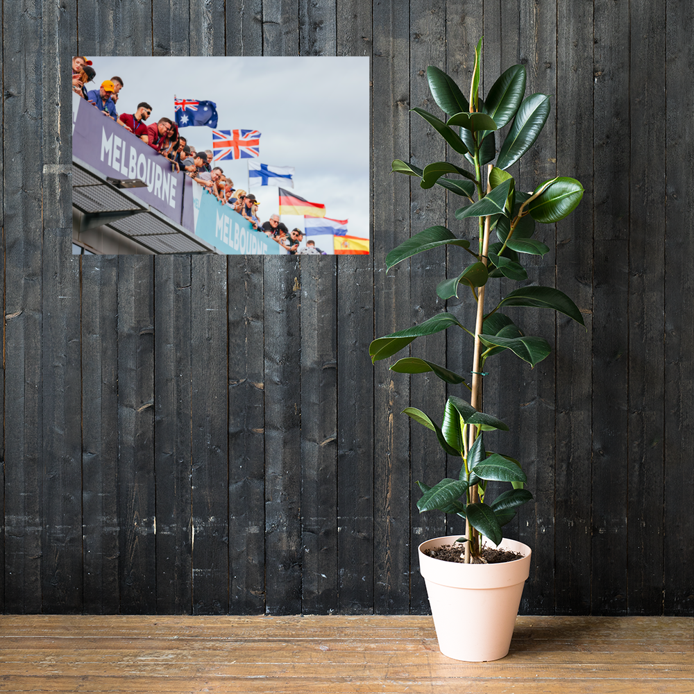 Formula 1 Fans 24"x36" Bedroom Wall Poster